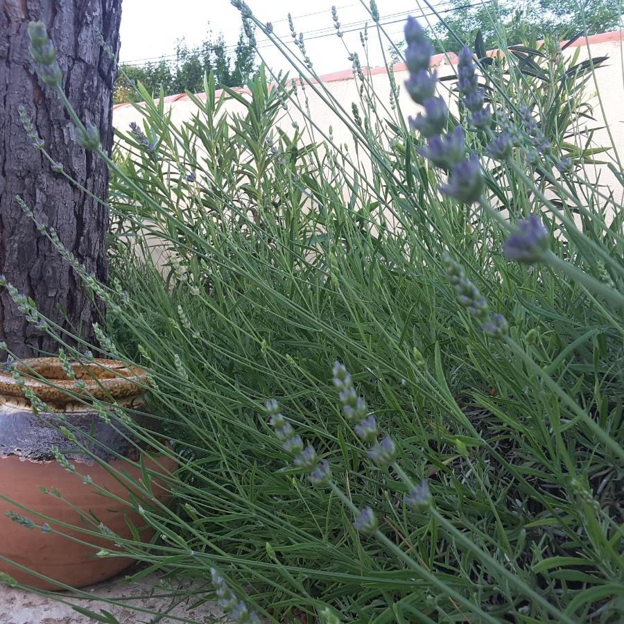 Philoxenia Pourrieres Exterior foto